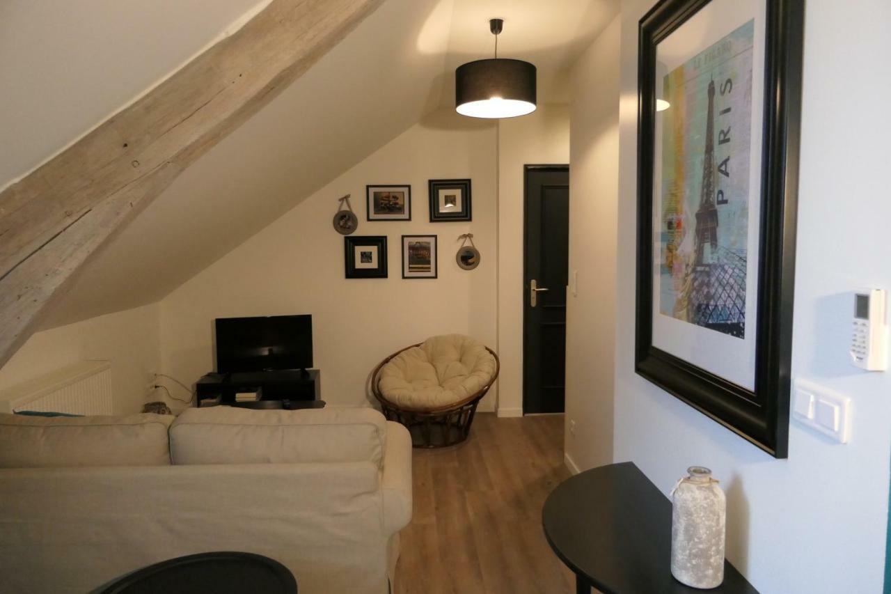La Maison Virginie Appartements Climatises De 1 A 5 Pers Cosy Hyper Centre Cour Parking Linge Fibre Proximite Port Lac Canal Piscine Montargis Εξωτερικό φωτογραφία